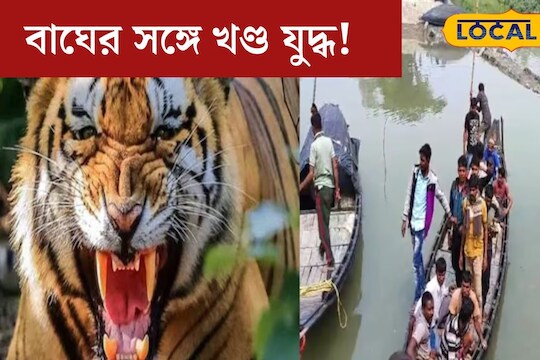 South 24 Parganas News মর্মান্তিক বাঘের সঙ্গে খণ্ড যুদ্ধ কাঁকড়া ধরতে গিয়ে তুমুল লড়াই