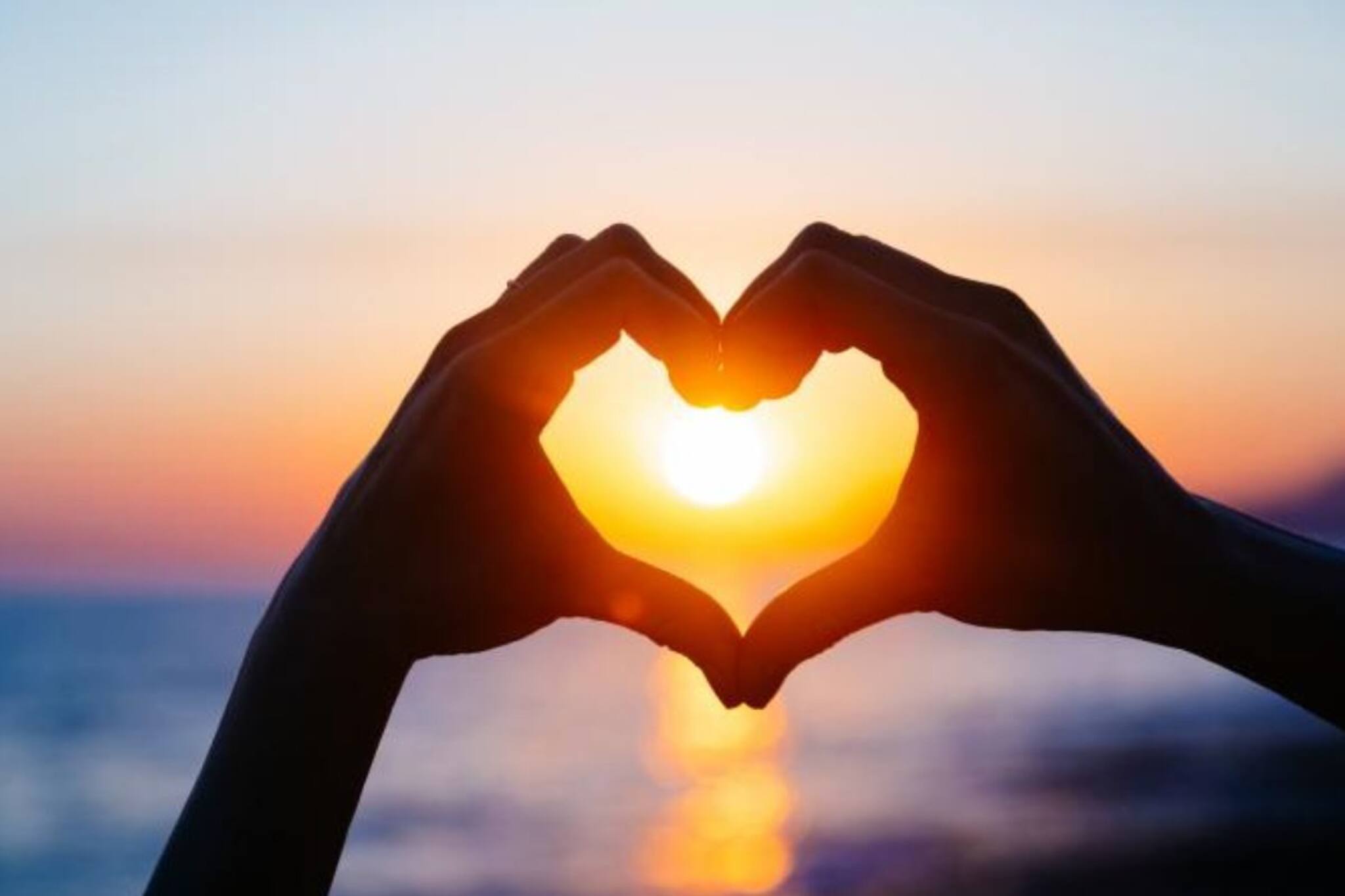 টেডি ডে পালন করলেন! কিন্তু কী ভাবে এর শুরু? জেনে নিন