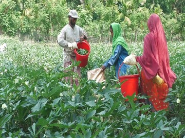 প্রতীকী চিত্র