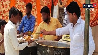 এলাকায় চলছিল পেট পুরে খাওয়াদাওয়া, পাতে দিতে গিয়ে তরকারির সঙ্গে উঠে এল বিষাক্ত সাপ! ভিডিও ভাইরাল (Representative Image)