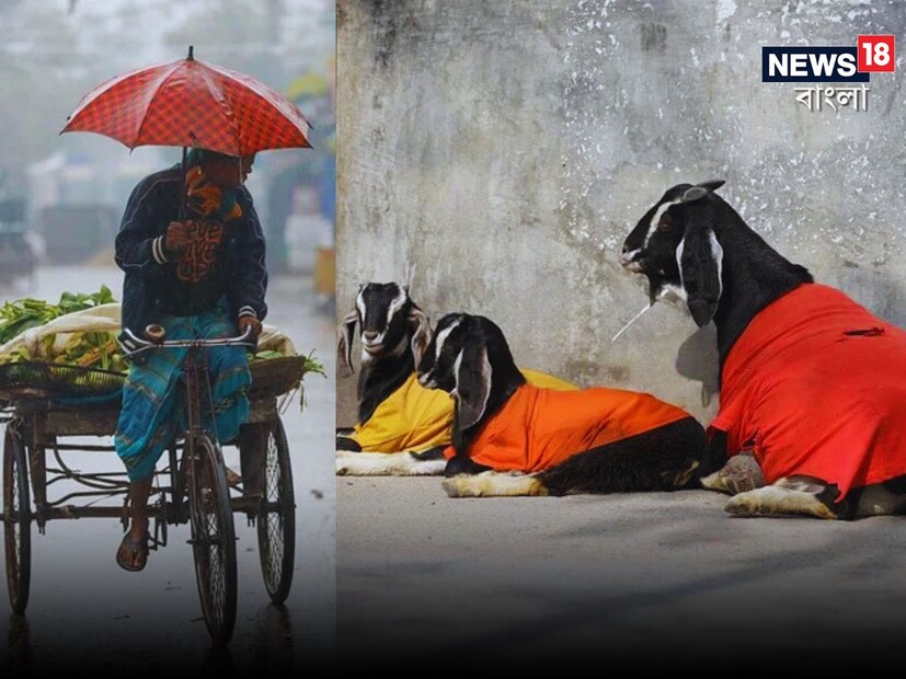 দক্ষিণবঙ্গে উধাও হয়েছিল শীতের আমেজ। তবে এবার ফের আরও একবার শীতের দাপট বাড়তে চলেছে দক্ষিণে। আগামী দুদিন শীতের আমেজ থাকবে বঙ্গে। তার পর ধীরে, ধীরে আবহাওয়ার পরিবর্তন হবে। কুয়াশার দাপট অনেকখানি বহাল থাকছে সর্বত্র।