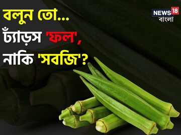 বলুন তো ঢ্যাঁড়স 'ফল', নাকি 'সবজি'? ৯৯% ই দিলেন ভুল উত্তর! চমকে দেবে সঠিক উত্তর