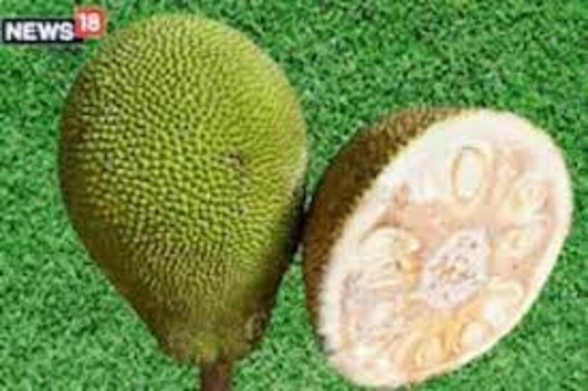 এঁচোড়ের ক্যালসিয়াম মজবুত করে হাড়ের গঠনকে৷ অর্শ ও কোলন ক্যানসারের ঝুঁকিও কমায় এই ফল তথা সব্জি৷