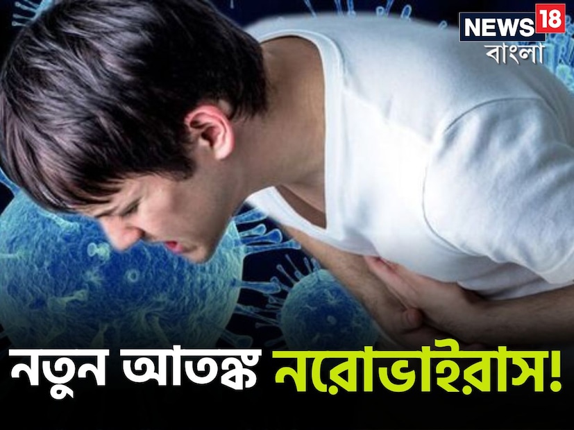 ফের থাবা বসাল নরোভাইরাস। মার্কিন স্বাস্থ্য নিয়ামক সংস্থা সেন্টারস ফর ডিজিজ কন্ট্রোল অ্যান্ড প্রিভেনশন (সিডিসি)-এর তরফে পেটে আক্রমণকারী এই ভাইরাসের ছড়িয়ে পড়ার খবর প্রকাশ করা হয়েছে। মার্কিন যুক্তরাষ্ট্রের একাংশে সম্প্রতি মারাত্মক ছড়িয়ে পড়েছে এই সংক্রামক ভাইরাস। 