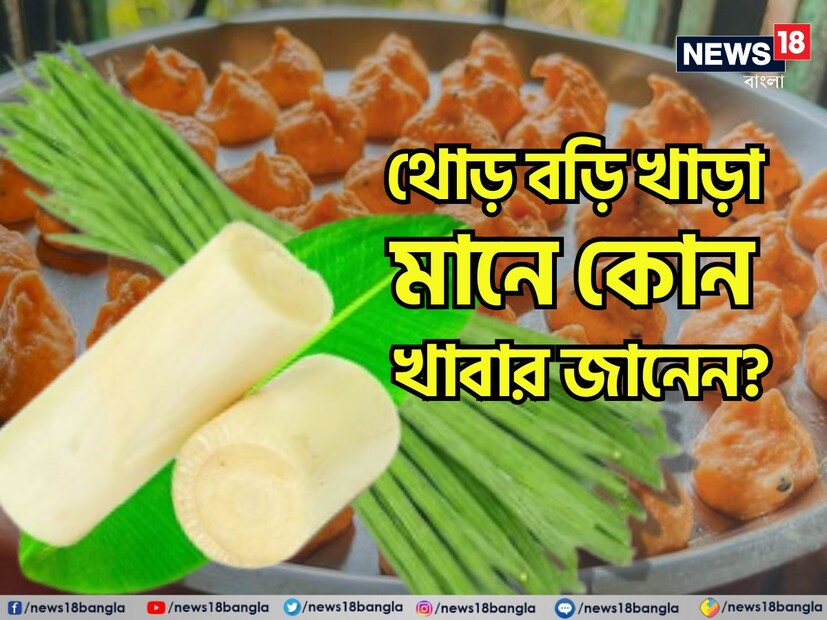 সাধারণত একঘেয়েমি বা বৈচিত্রহীন কোনও কিছু বোঝাতে ব্যবহার হয় এই বাংলা প্রবাদ 'থোড় বড়ি খাড়া, খাড়া বড়ি থোড়'। কিন্তু কখনও ভেবেছেন এটি এল কোথা থেকে? 