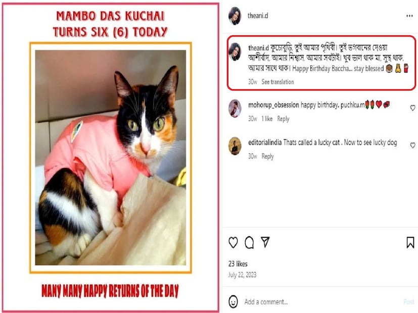 পোষ্যের নাম মাম্বো৷ আদর করে তাকে কুচাই বলে ডাকেন অনিন্দিতা৷ মাম্বোর নামের সঙ্গে নিজের পদবী দাস যুক্ত করেছেন তিনি৷ ফলে পোষ্য বিড়ালের নাম হয়েছে ,মাম্বো দাস!