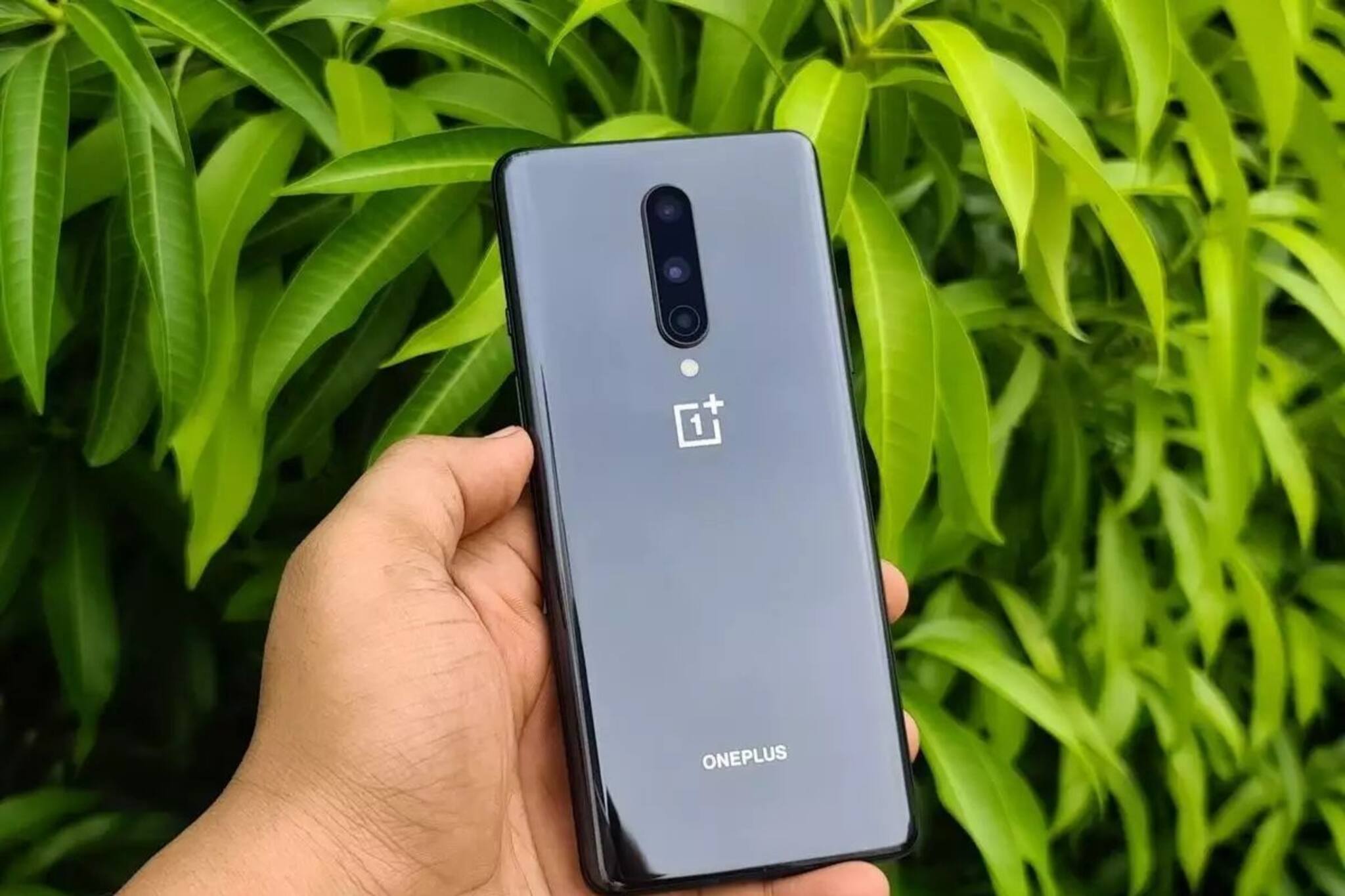 ফোনে 'ট্রিপল ক্যামেরা সেটআপ' দেয় কেন? একটি ক্যামেরা দিয়েই কিন্তু ছবি তোলা যায়