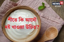 শীতে আদৌ দই খাওয়া উচিত? খেলেও কখন খাবেন? বিজ্ঞান কী বলছে? শুনুন ডাক্তারের থেকে