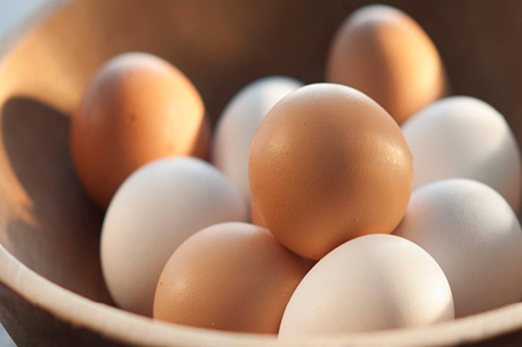 দিনে ক'টা ডিম খাওয়া যায়? কুসুম-সহ না কুসুম-ছাড়া? সেদ্ধ, হাফ-বয়েল, পোচ না অমলেট?