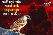 একটি চড়ুই পাখির জন্য মারা যান ৪ কোটি মানুষ! জানেন এ ঘটনা? শুনে মাথা ঘুরে যাবে