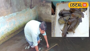 চৌবাচ্চায়