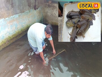 চৌবাচ্চায়