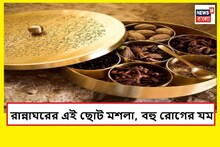 রান্নাঘরের এই মশলা ক্যানসারের যম! ডায়াবেটিস দেবে দে দৌড়, কী বলছেন ডাক্তার