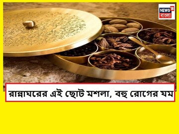 রান্নাঘরের এই মশলা ক্যানসারের যম! ডায়াবেটিস দেবে দে দৌড়, কী বলছেন ডাক্তার