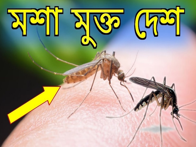 তারা আপনার রক্ত ​​চুষে নেয়, কানের পাশে বিরক্তিকর আওয়াজ করে। তাদের কামড় আপনার বারবিকিউ পার্টিকে করে তুলতে পারে দুর্বিষহ কিংবা জঙ্গলে হাঁটাচলায় ঘটাতে পারে বিঘ্ন। সবচেয়ে বড় কথা তাদের কামড়ে নানা রোগ ছড়ায়, এগুলোর কিছু প্রাণঘাতীও।