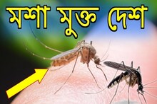 পৃথিবীর একমাত্র দেশ, যেখানে একটিও মশা নেই! বলুন তো কোন দেশ? বিশ্বাস হবে তো শুনে!