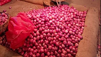 ফের পেঁয়াজের দাম বাড়ার আশঙ্কা৷ ফের পেঁয়াজের দাম বাড়ার আশঙ্কা৷