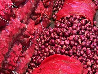 পেঁয়াজের দাম কমবে কবে?