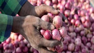 পেঁয়াজের দাম বাড়ছে কেন? পেঁয়াজের দাম বাড়ছে কেন?