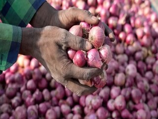 পেঁয়াজের দাম বাড়ছে কেন?