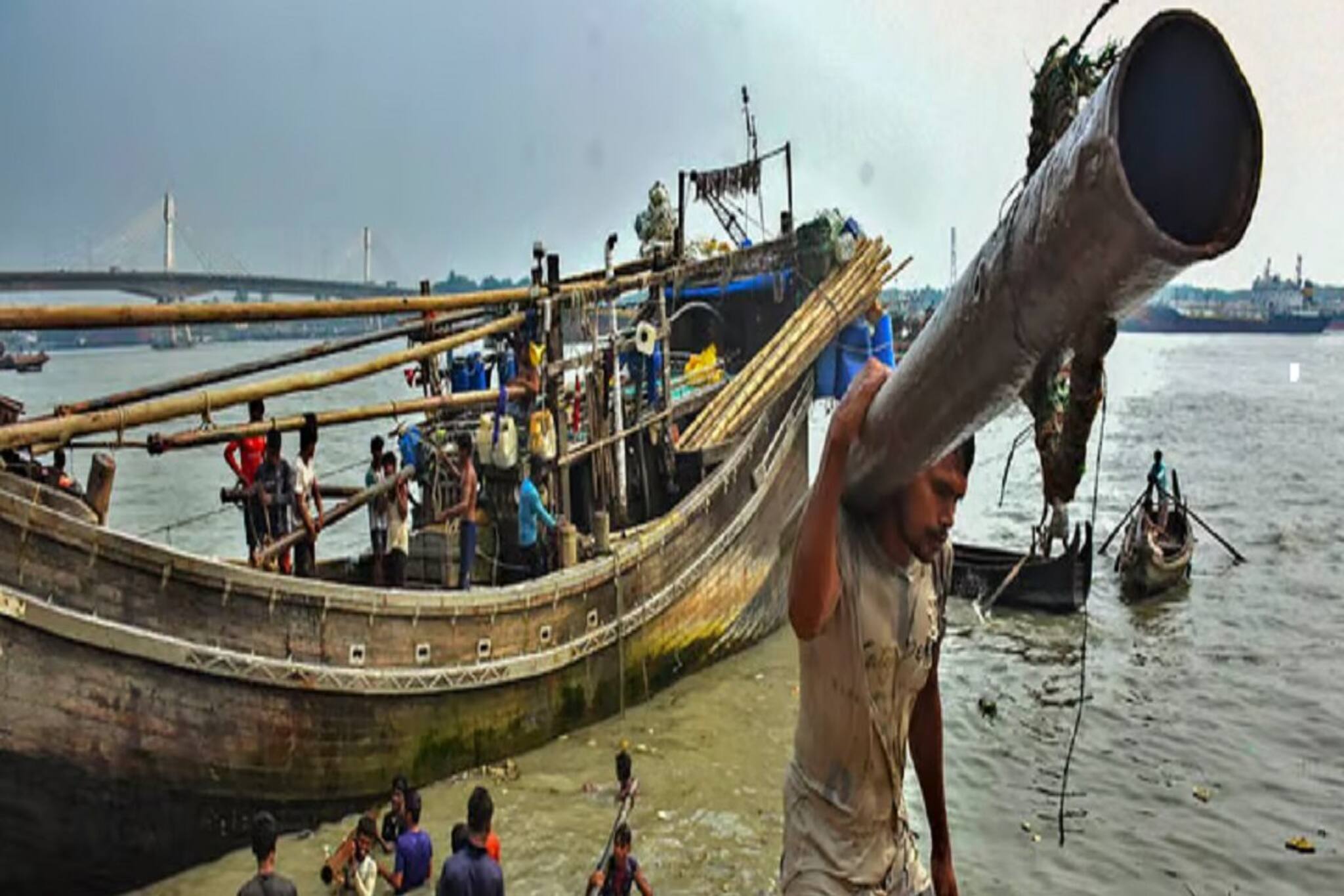 এত বড়! সত্যি!এতদিন শুনেছেন পদ্মার ইলিশের কথা,এবার যা মিলল, জেনে মাথায় হাত দেবেন