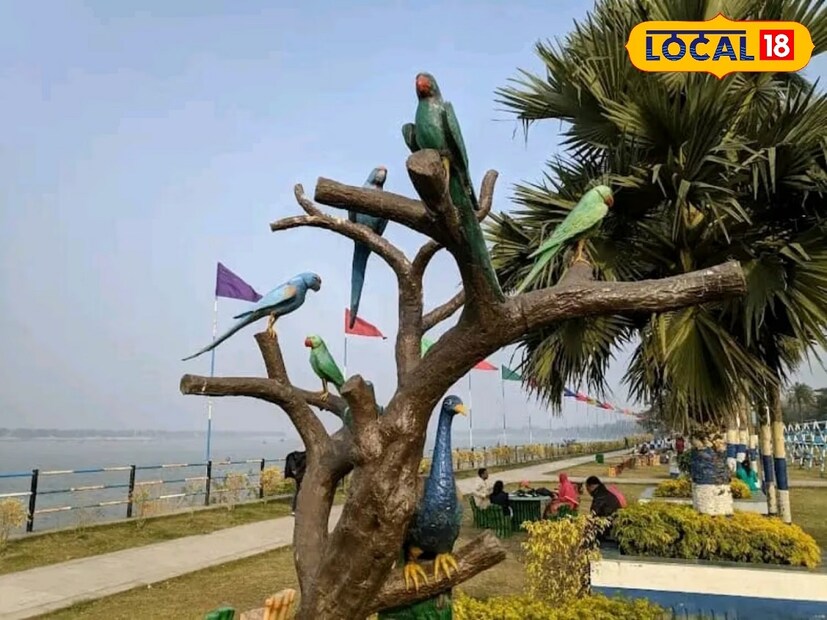 প্রেমের মাসে সঙ্গিনীকে নিয়ে ঘুরতে যাবেন ভাবছেন। কিন্তু কাজের চাপে হাতে সময় খুব কম তাহলে আপনি ঘুরে আসতে পারেন পূজালির নেতাজি পার্ক থেকে।