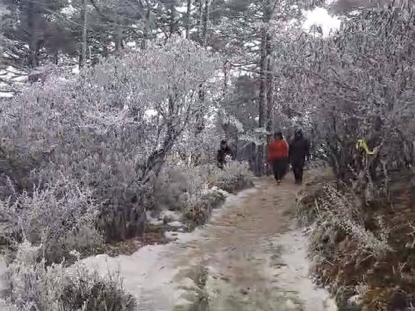 North Bengal Weather Alert: শিলিগুড়িতে কুয়াশার সকাল। হালকা রোদ, ঠান্ডা হাওয়া, শীতের দাপট রয়েছে। তাপমাত্রা এখন ১০ ডিগ্রি। জলপাইগুড়িতে সকাল থেকে কুয়াশাচ্ছন্ন আকাশ। সর্বনিম্ন তাপমাত্রা ১৩.০৫ ডিগ্রি সেলসিয়াস।
