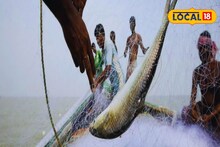 হুহু করে ঢুকছে ইলিশ! সরস্বতী পুজোর আগেই জলের দরে! ১ কেজির মাছের রেট যাচ্ছে কত?