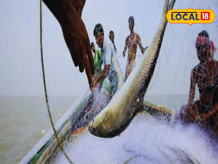 গভীর সমুদ্র নয়, এবার মুড়িগঙ্গা নদীর মোহনায় ঝাঁকে ঝাঁকে ইলিশ উঠল মৎসজীবীদের জালে। স্থানীয় সূত্রে খবর, ছোট নৌক নিয়ে মুড়িগঙ্গা নদীতে মাছ ধরতে যাচ্ছেন কাকদ্বীপের মৎস্যজীবীরা।