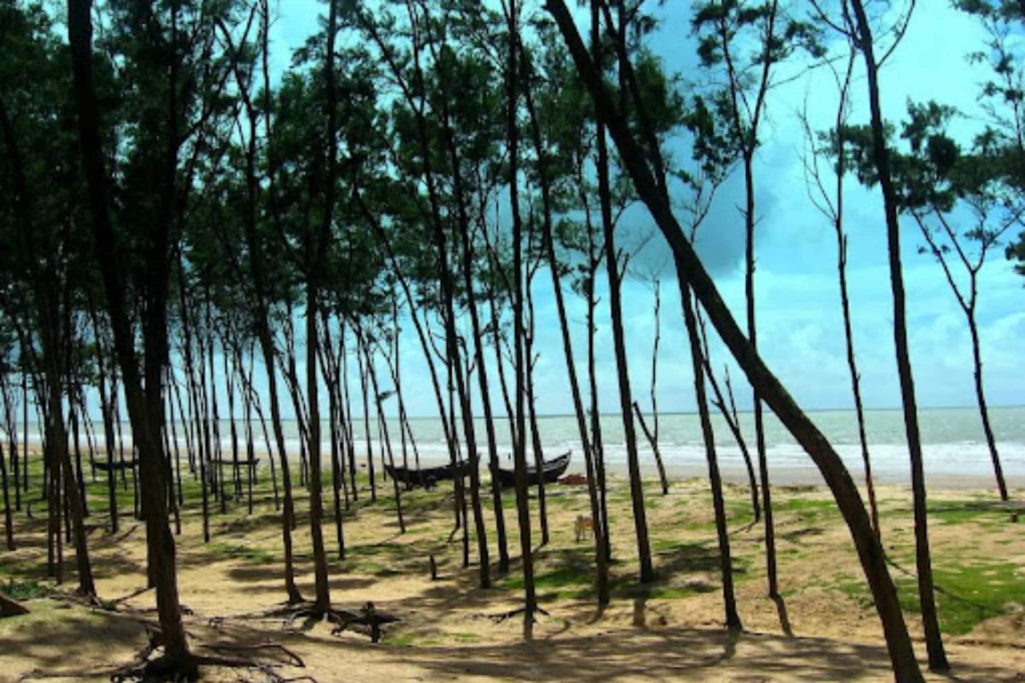 ভ্যালেন্টাইন ডে-তে নির্জন সমুদ্র সৈকতে যেতে চান সঙ্গীকে নিয়ে, এই জায়গাই সেরা