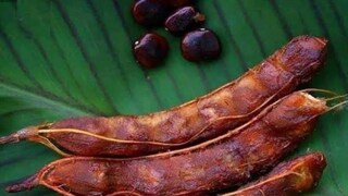 তেঁতুলের উপকারিতা তেঁতুলের উপকারিতা