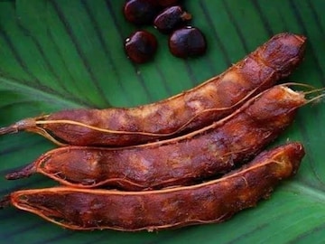 তেঁতুলের উপকারিতা