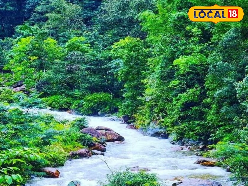 একেবারেই অফবিট জায়গা এটি। এই ভ্যালির পাশ দিয়েই বয়ে গিয়েছে রঙ্গিত নদী। এখানে একেবারে অরগ্যানিক পরিবেশে থাকতে পারবেন। নেই কোনও দূষণ।