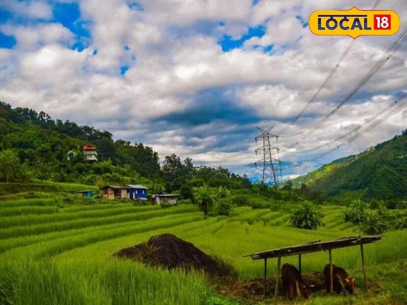 শাসিং ভ্যালি। একেবারেই অচেনা একটা নাম। কমলালেবুর বাগান ভরে রয়েছে এই গ্রাম । সিটংকে কড়া টক্কর দেওয়ার ক্ষমতা রাখে এই শাসিং ভ্যালি।