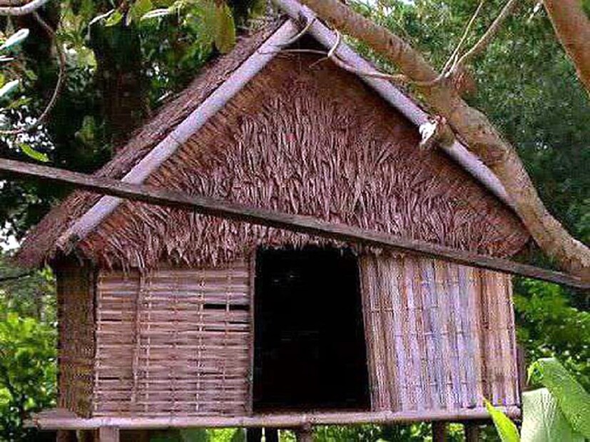 বিশ্বের বিভিন্ন দেশের মানুষেরা তাদের ভিন্ন ধরনের কাজ এবং রীতিনীতির জন্য অন্যদের থেকে আলাদা। যার অনেক কিছুই আমাদের কাছে একেবারেই স্বাভাবিক নয়। আমাদের কাছে যা অস্বাভাবিক সেগুলোই বিশ্বের বিভিন্ন দেশে ঘটা করে পালন হয়। 