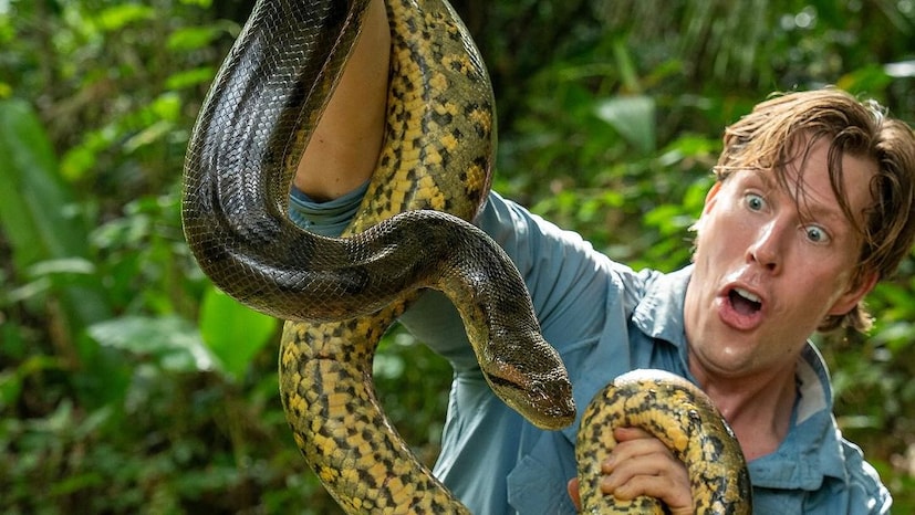 সাপটি দেখে ভয়ে আঁতকে উঠবেন। সাপটি গাড়ির টায়ারের মত মোটা। নতুন প্রজাতির সাপটির লাতিন নাম দেওয়া হয়েছে ইউনেক্টেস আকায়ামা, নর্দার্ন গ্রিন অ্যানাকোন্ডা।' আকায়ামা শব্দটি এসেছে উত্তর দক্ষিণ আমেরিকার আদিবাসী ভাষা থেকে। এর অর্থ মহান সাপ। 