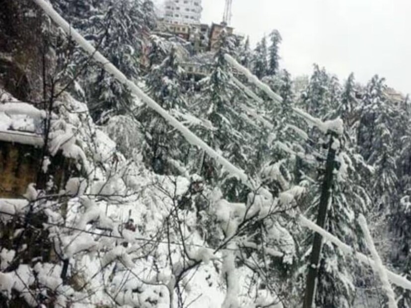 IMD Cold-Rain Alert: বর্তমানে রাজধানী দিল্লি-সহ উত্তর ভারতের অনেক রাজ্যে আবহাওয়ার ধরন বদলেছে। তুষারপাতের কারণে পাহাড়ি এলাকা পর্যটকদের আকর্ষণ করছে। জম্মু ও কাশ্মীর, হিমাচল প্রদেশ এবং উত্তরাখণ্ডে অবিরাম তুষারপাতের কারণে অনেক রাস্তা বন্ধ রয়েছে। 