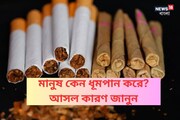 দিনে কাঁড়ি কাঁড়ি সিগারেট-বিঁড়িতে সুখটান! ধূমপানে কেন এত আনন্দ মানুষের?