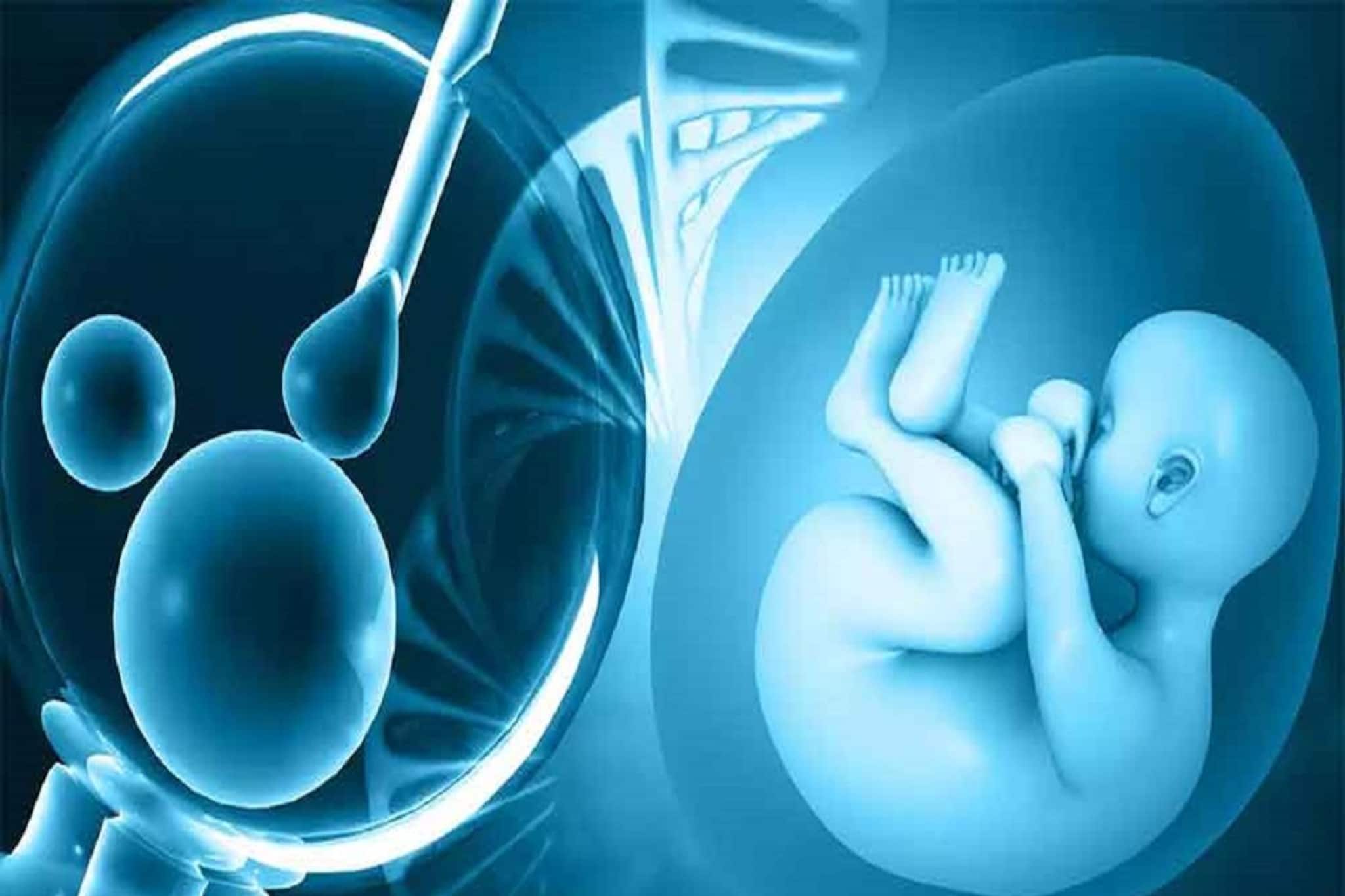 আইভিএফ কাদের উপর প্রয়োগ করা হয়? আসলে এই প্রক্রিয়াটি কী? জানালেন বিশেষজ্ঞ...