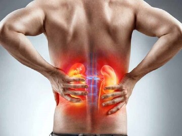 শরীরে পটাশিয়াম বেশি? কিডনি সুস্থ রাখতে কোন-কোন খাবার ভুলেও ছোঁবেন না? পড়ুন