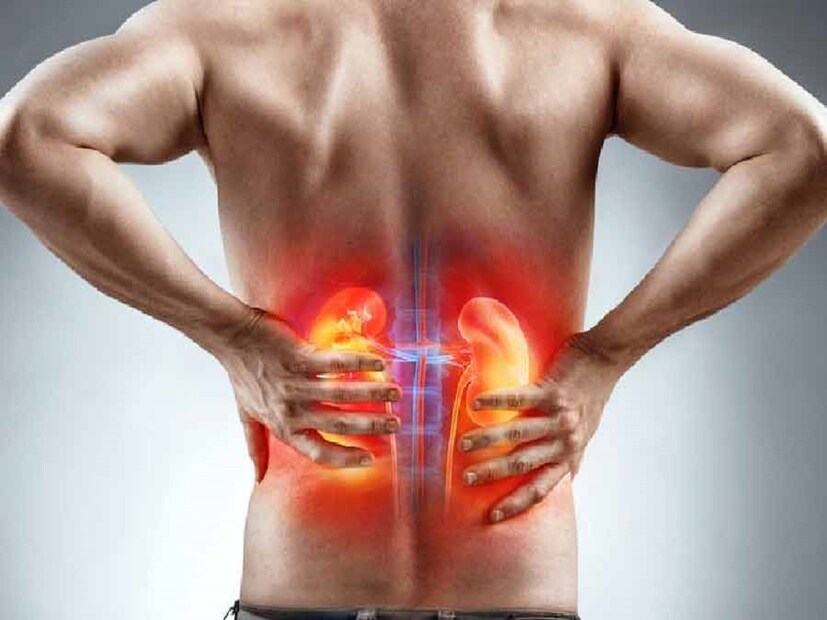 কিডনির সমস্যা থাকলে শরীরে পটাশিয়ামের মাত্রা বেড়ে যায়, ফলে দেখা দেয় নানা শারীরিক সমস্যার। কিডনির উপর চাপ বাড়তে পারে। কিডনির সমস্যা থাকলে শরীরে পটাশিয়ামের মাত্রা বেড়ে যায়, ফলে দেখা দেয় নানা শারীরিক সমস্যার। কিডনির উপর চাপ বাড়তে পারে।