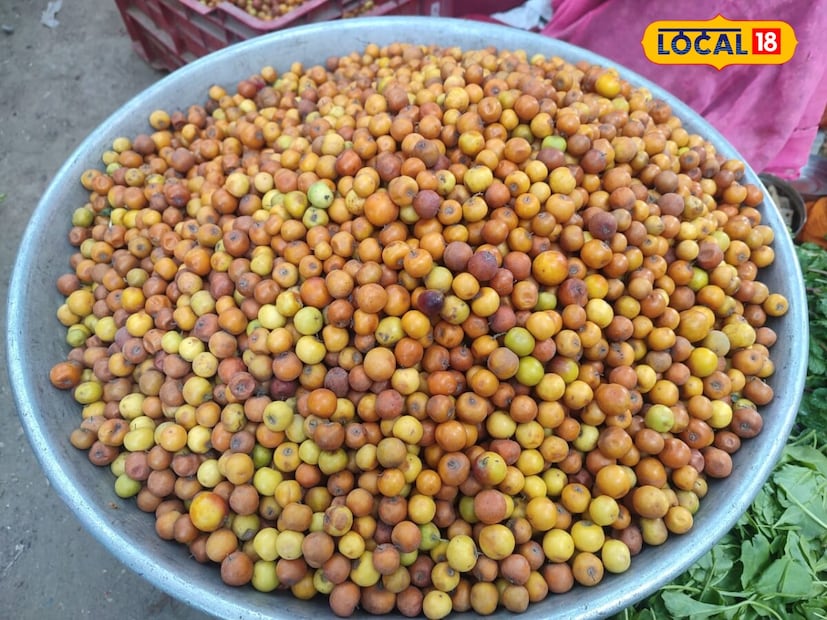 *বরই বিক্রেতা মুলা দেবী বলেন, এটি রাজস্থানের দেশীয় ফল। হোলির দিন বরই ফলের মালা তৈরি করা হয়। হোলির একদিন আগে বোনেরা তাদের ছোট ভাই বা ভাগ্নেকে এই মালা পরিয়ে দেয়, এমনটাই রীতি। সংগৃহীত ছবি। 
