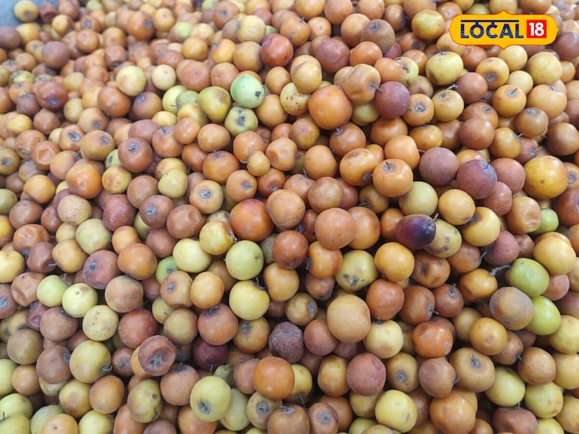 *এই ফলটিতে বিভিন্ন ধরনের বায়োঅ্যাকটিভ পদার্থ যেমন পলিফেনল, পলিস্যাকারাইড, নিউক্লিওটাইড, অ্যামিনো অ্যাসিড, ডায়েটারি ফাইবার, ফ্যাটি অ্যাসিড, অ্যালকালয়েড ইত্যাদি রয়েছে। এছাড়াও এতে রয়েছে নানা পুষ্টিগুণ। সংগৃহীত ছবি। 
