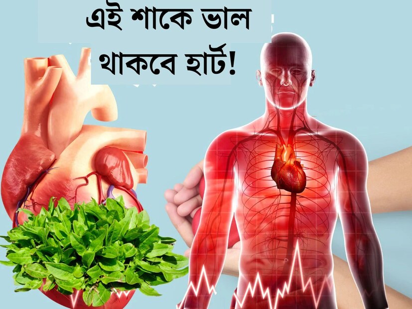 শাক সবজি খাওয়া স্বাস্থ‍্যের পক্ষে অত‍্যন্ত উপকারী। সবুজের গুরুত্ব শরীরের জন‍্য অপরিসীম। বিভিন্ন শাকের দেহে গুরুত্ব আলাদা আলাদা।আগাছার মতো হয়ে থাকা তেমনই একটি শাক একাধিক রোগ দূরে রাখতে সক্ষম। 