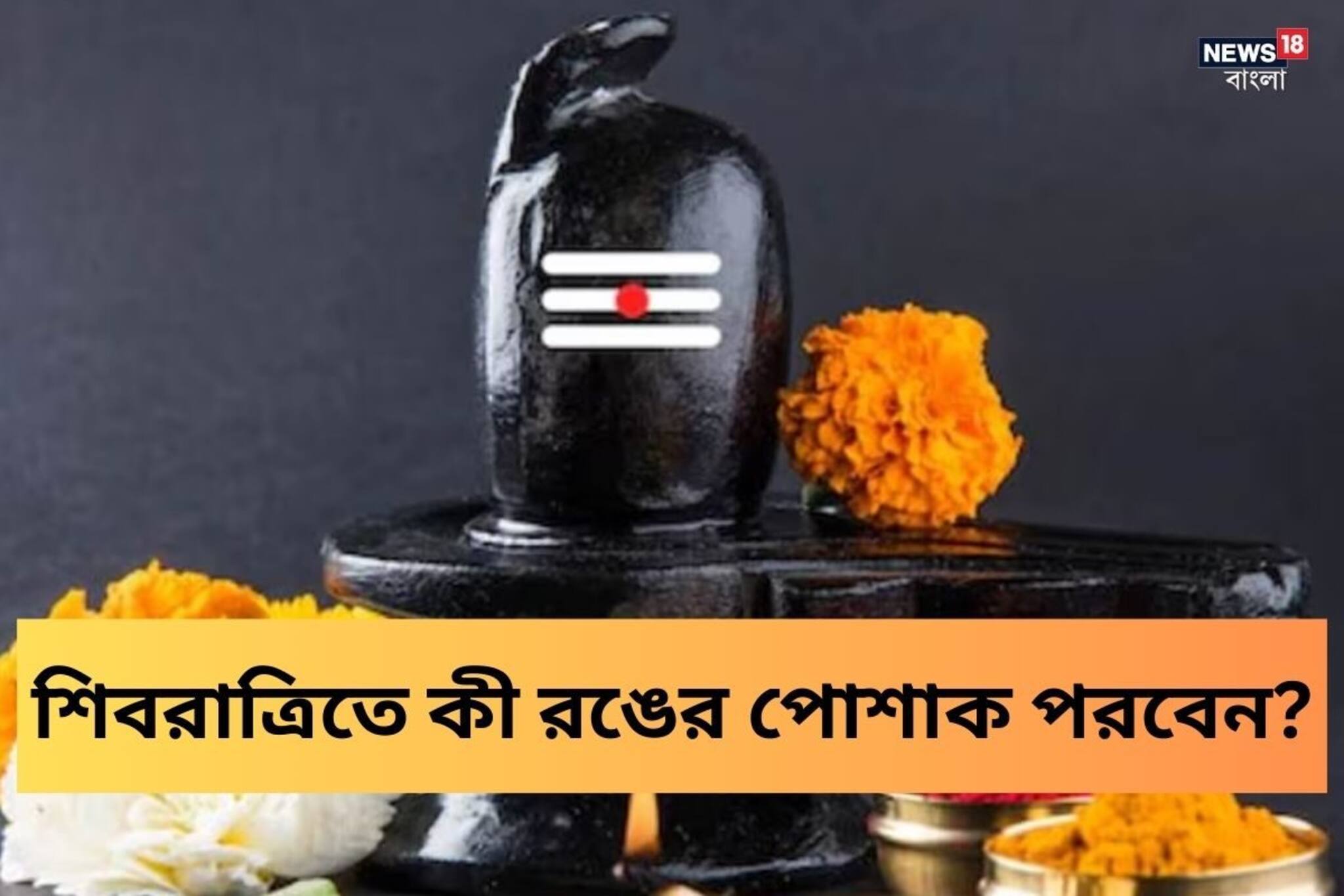 জানেন শিবের প্রিয় রং কী? মহাশিবরাত্রিতে এই ‘রঙের’ পোশাক পরলে তুষ্ট হবেন দেবতা