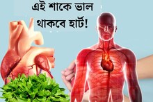 স্বাদে টক এই শাকে যেন সুস্বাস্থ‍্যের খাজানা! হার্ট ভাল থাকবে