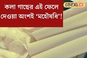 কলা গাছের এই ফেলে দেওয়া অংশই ‘মহৌষধি’! দাম কলার চেয়ে অনেক কম