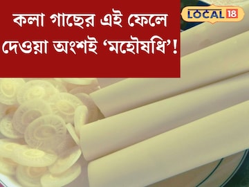 কিডনীর