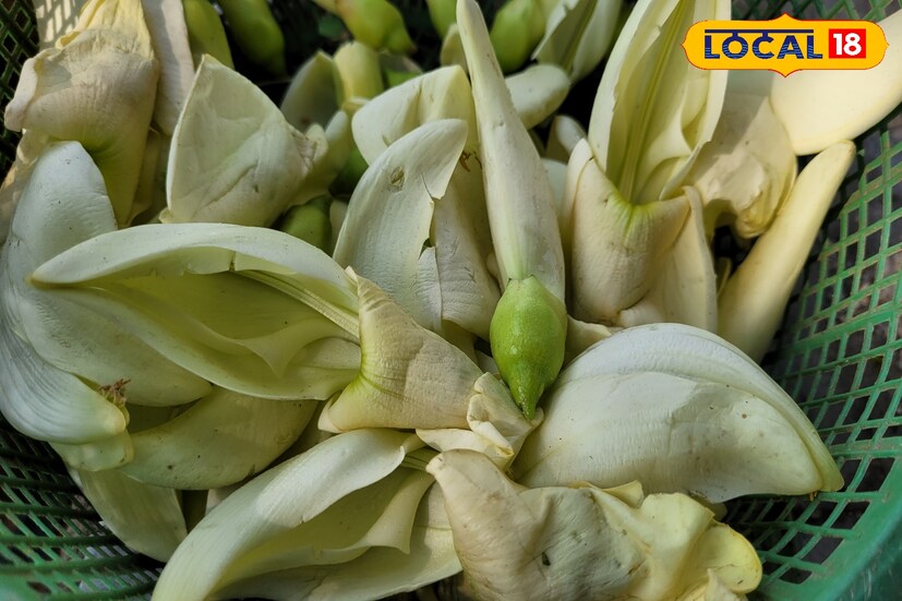 সজনে, কুমড়ো ফুলের পাশাপশি বকের মতো দেখতে ফুলের বাজার বেশ। ব্যথা, চুলকানি, গ্যাস্ট্রিক আলসার নিরাময়ে এই ফুলের জুড়ি মেলা ভার।