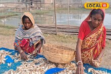 শুঁটকির ঝাল চেটেপুটে খান? কীভাবে তাজা মাছ শুকিয়ে তৈরি হয় শুঁটকি? জানুন পদ্ধতি